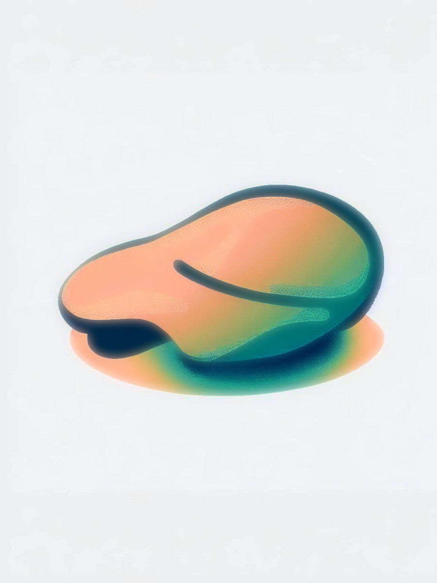 정한 군대보내기