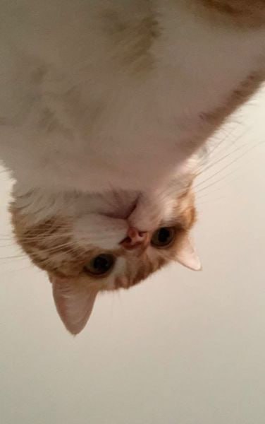 인간은 왜 정렬되지 않았나요?